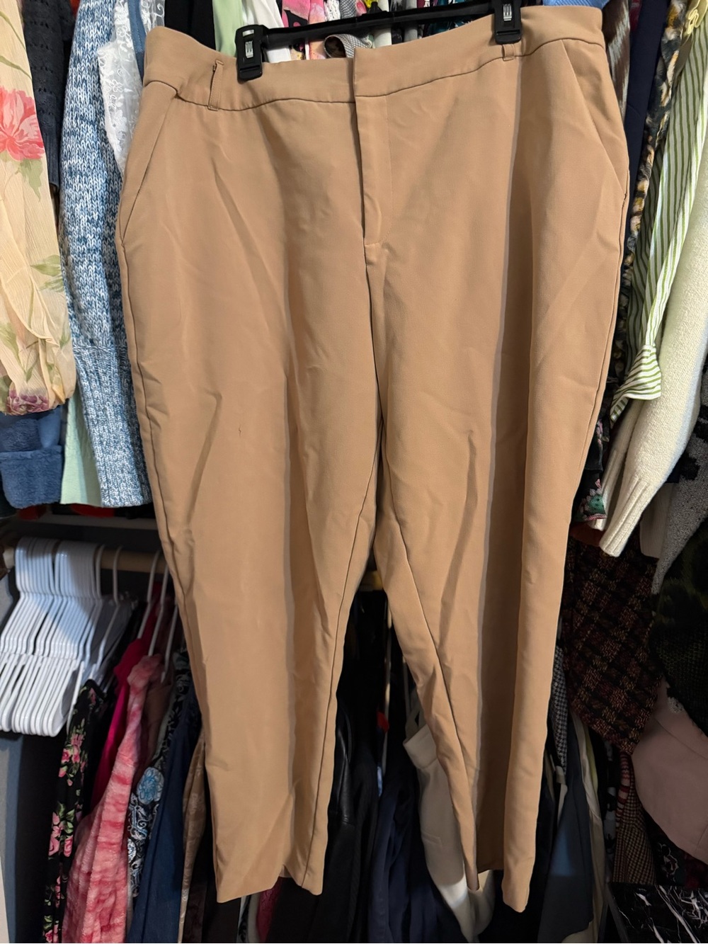 Torrid ankle pants 20